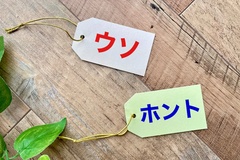 住宅展示場に行かない方がいいと言われる理由と活用法のイメージ