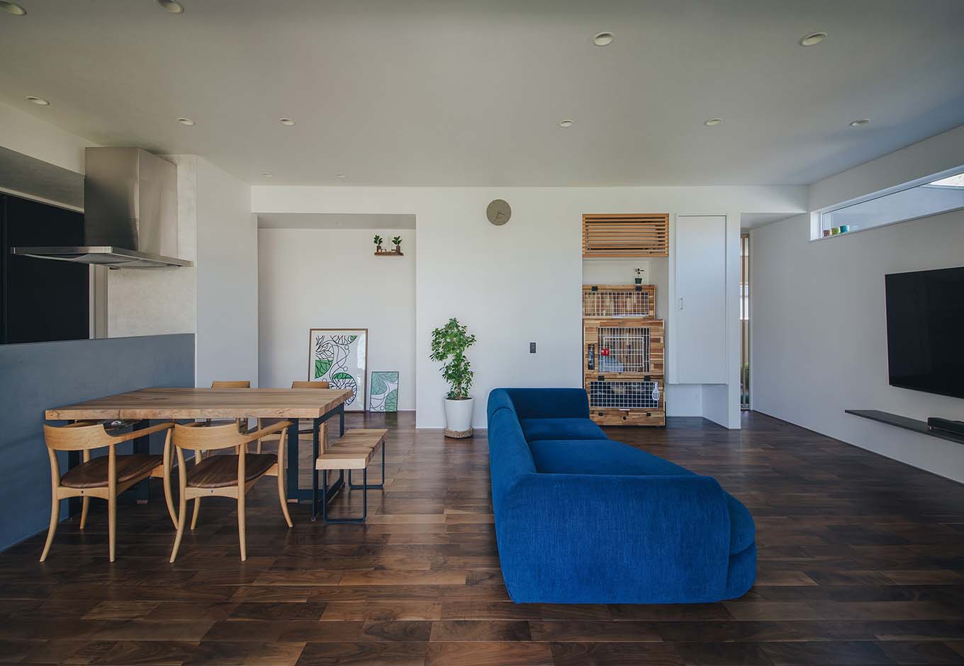 平屋建築ブルーハウス【デザイン住宅、建築家、平屋】アイランドキッチンの正面にダイニングとリビングを配置。料理中も家族の様子を見守ることができ、洗い物をしながらテレビも見られる。壁の一角には、愛猫のケージをはめ込めるスペースを確保し、仕上げはご主人がDIY