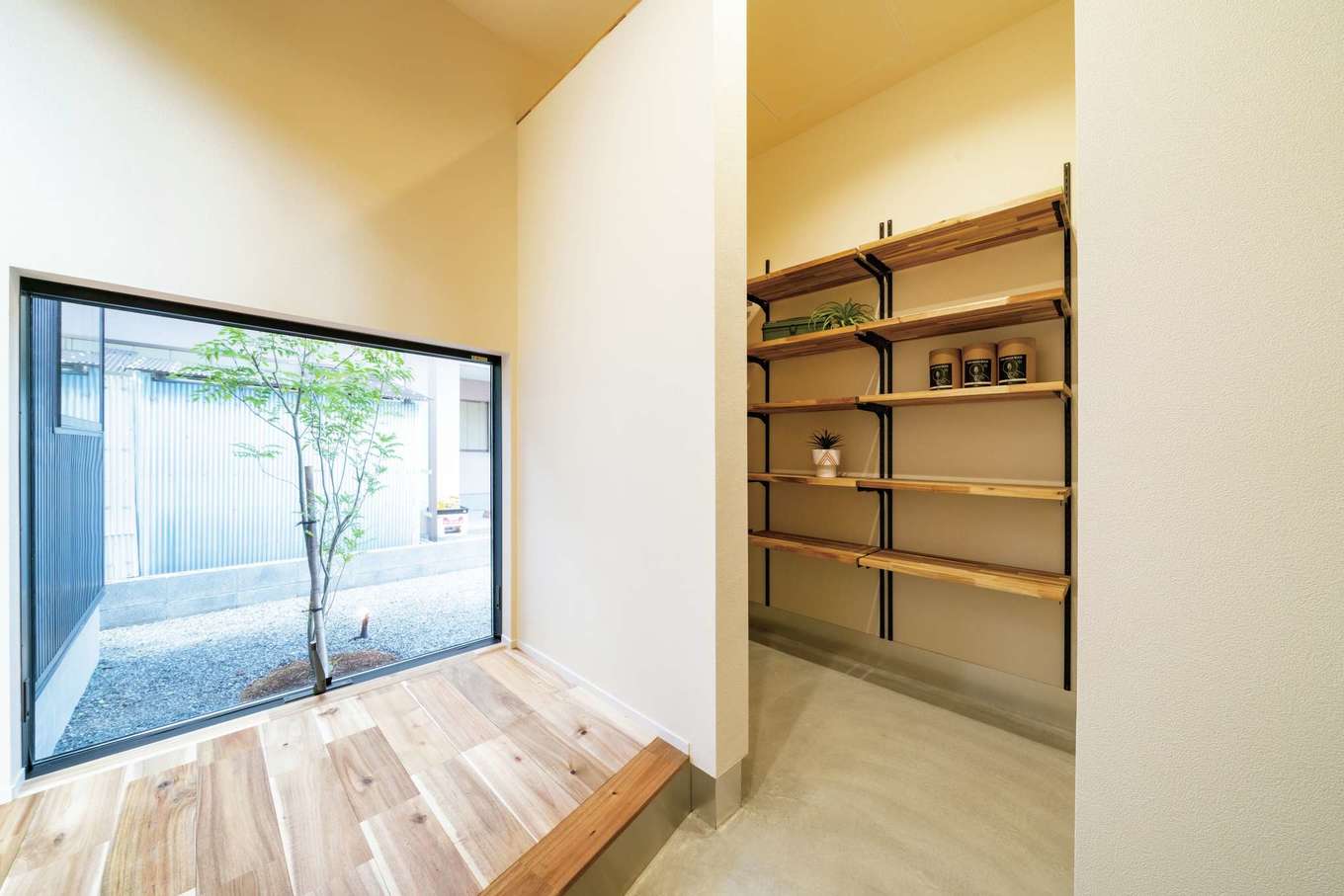 住家 JYUKA【デザイン住宅、ペット、建築家】玄関ホールの大きなピクチャーウインドウから見えるシンボルツリー。まるで額に飾られた絵画のよう