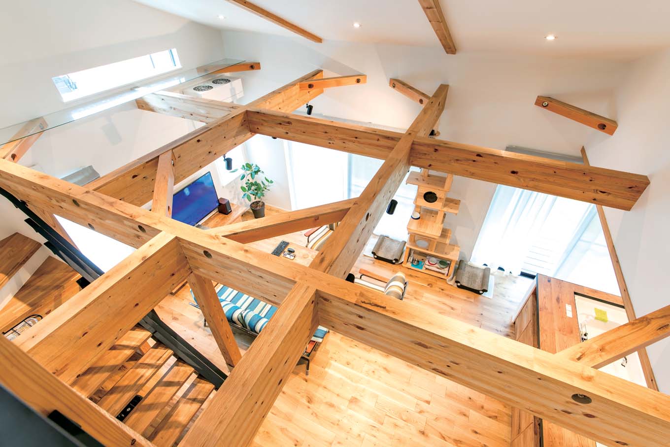 KUREKEN HAUS（榑林建設）【デザイン住宅、省エネ、ペット】同社の住まいは、長期優良、高気密、高断熱、耐震等級3、制震の5つが標準仕様。力強い躯体が頼もしい。躯体となる梁は猫ちゃんのキャットウォークにもなっていて、左手の窓際には猫ちゃん用の散歩＆ひなたぼっこスペースが用意された
