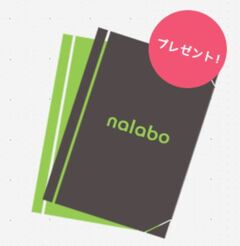 送付資料