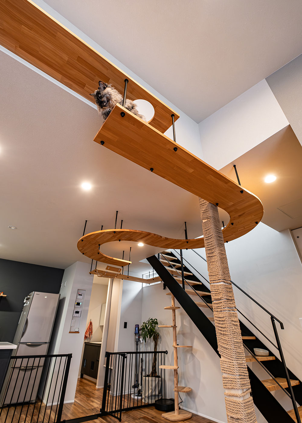 R＋house御殿場（岳南建設）【省エネ、ペット、建築家】キャットウォークは猫たちもお気に入り