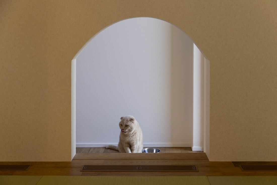 チェックハウス｜ペットが快適に過ごせる専用スペース。アーチ型の入口がかわいらしく、愛犬がリラックスできる環境が整っている。