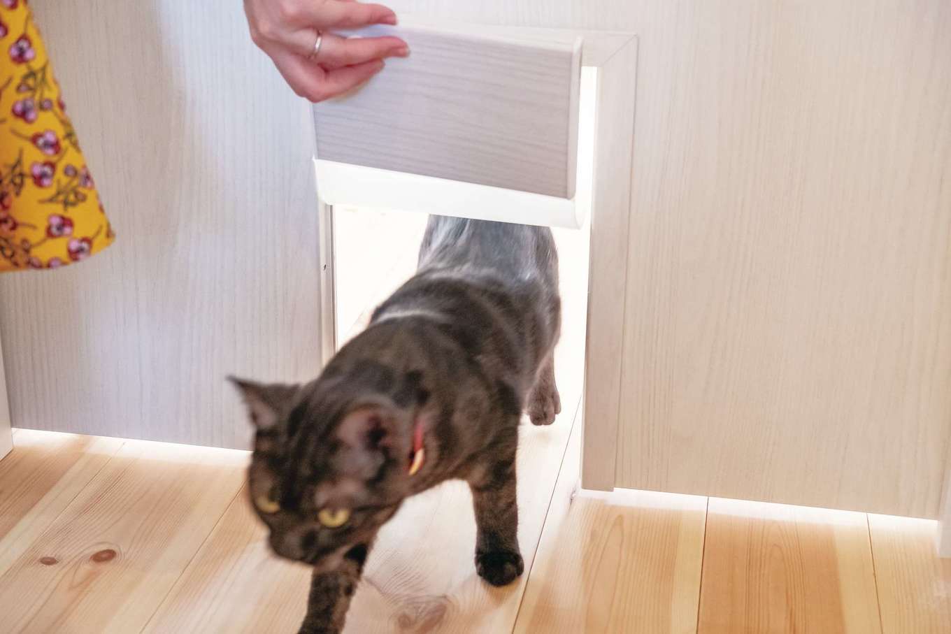 藤田建設（ラフェルム沼津）【デザイン住宅、自然素材、ペット】すべてのドアに猫が出入りできるオプション扉を追加