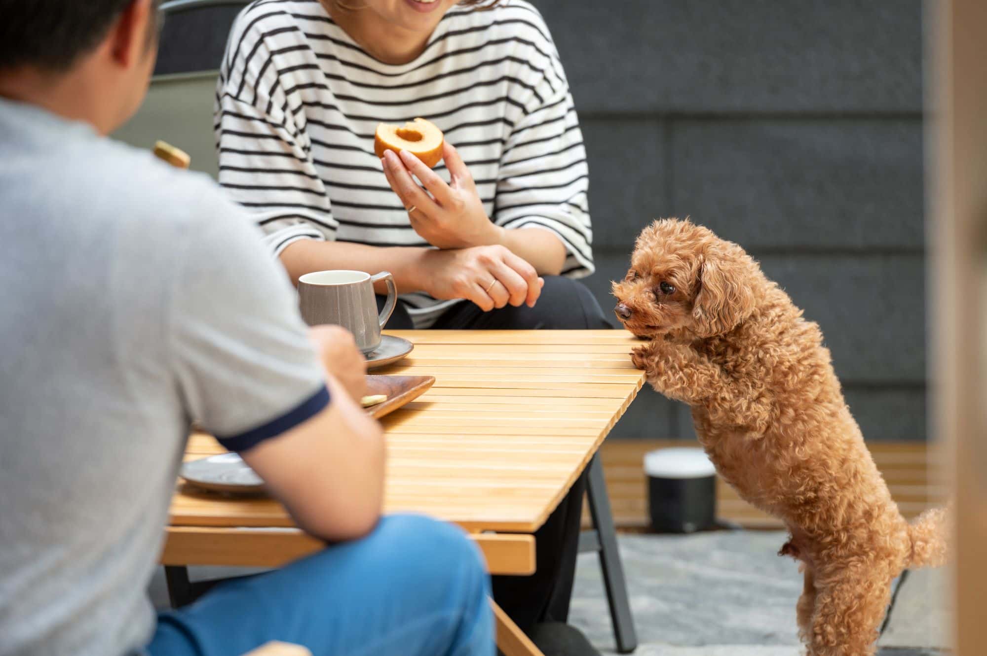【空気がきれい】