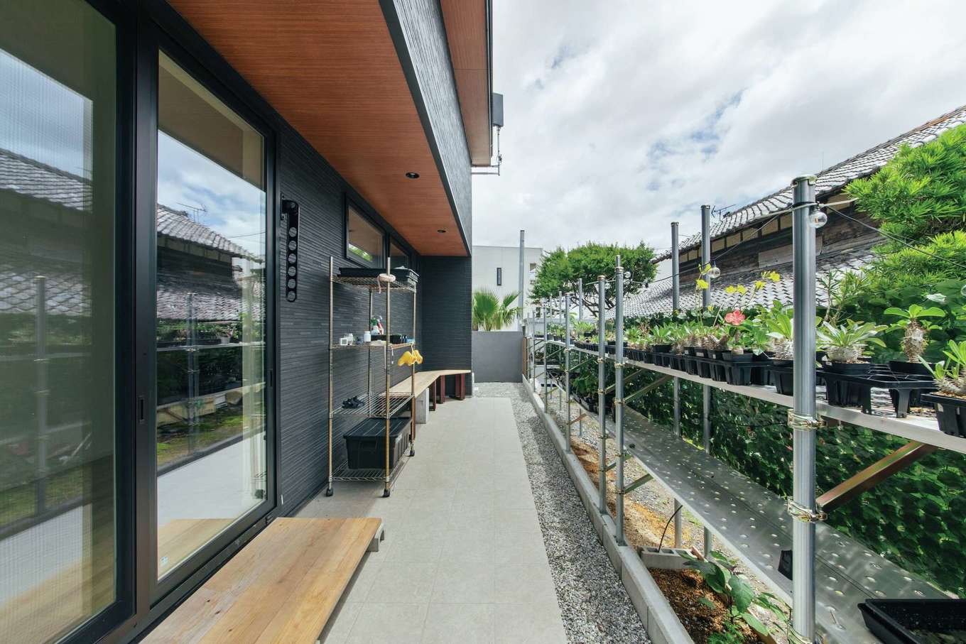 子育て安心住宅 Design Craft Office【デザイン住宅、趣味、平屋】LDKの東側に設けたテラスデッキ。塊根植物の手入れがしやすいように、フェンスに沿って棚を設置した