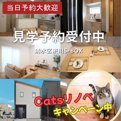 【Catsリノベキャンペーン中】｜清水区渋川S-BOX