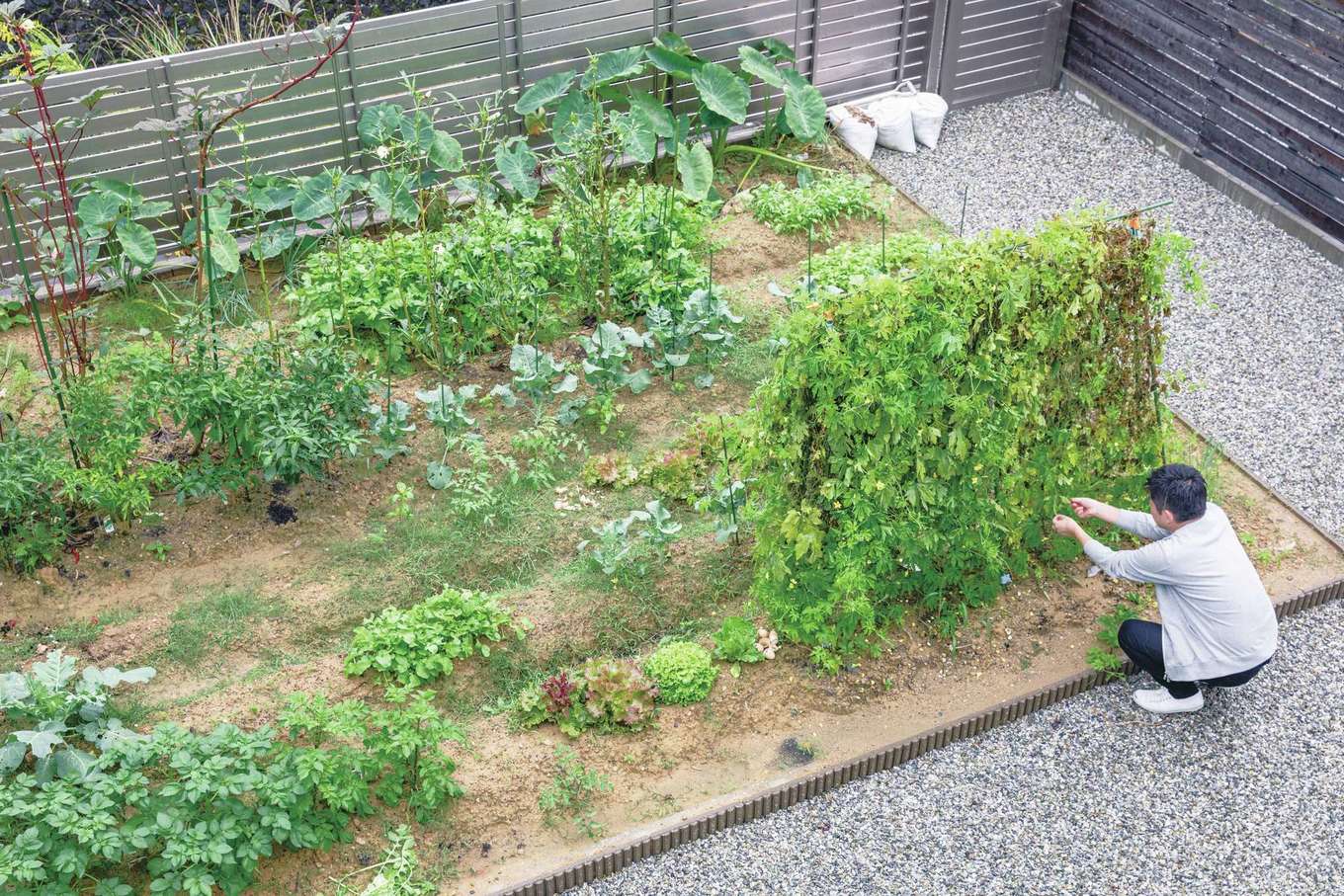 ほっと住まいる【自然素材、間取り、スキップフロア】自給自足のスローライフを楽しめる家庭菜園