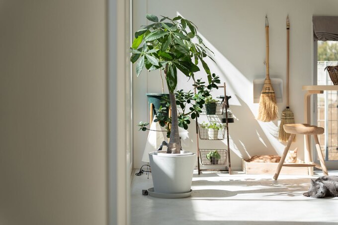 アールプラスDM