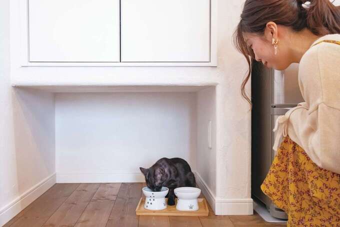 リビングとキッチンの途中に愛猫スペースを用意