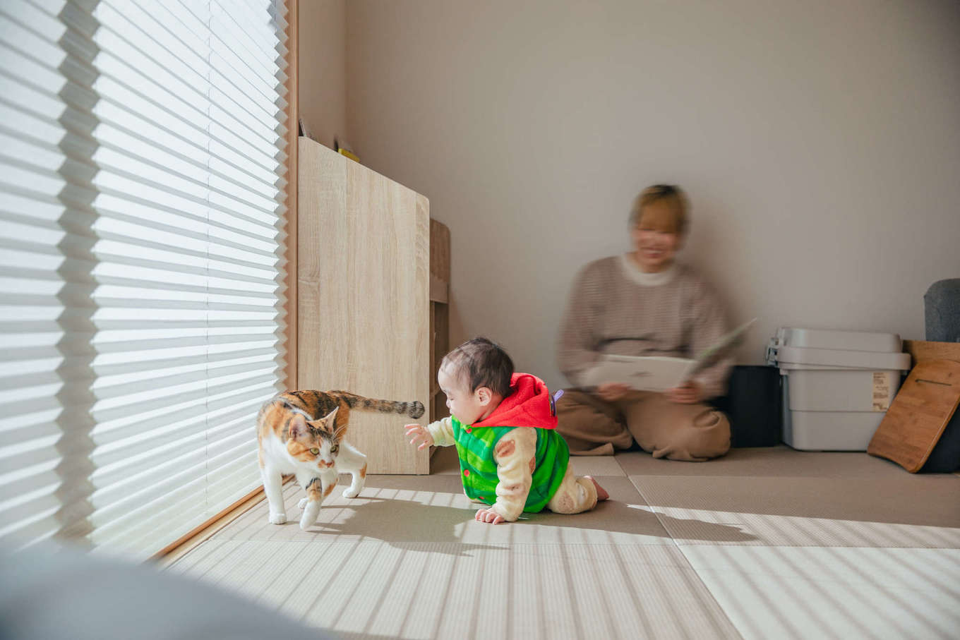 ナイスホーム【子育て、和風、間取り】みんなでくつろげる5畳の畳コーナー。子どもたちと愛猫の日向ぼっこにも最適