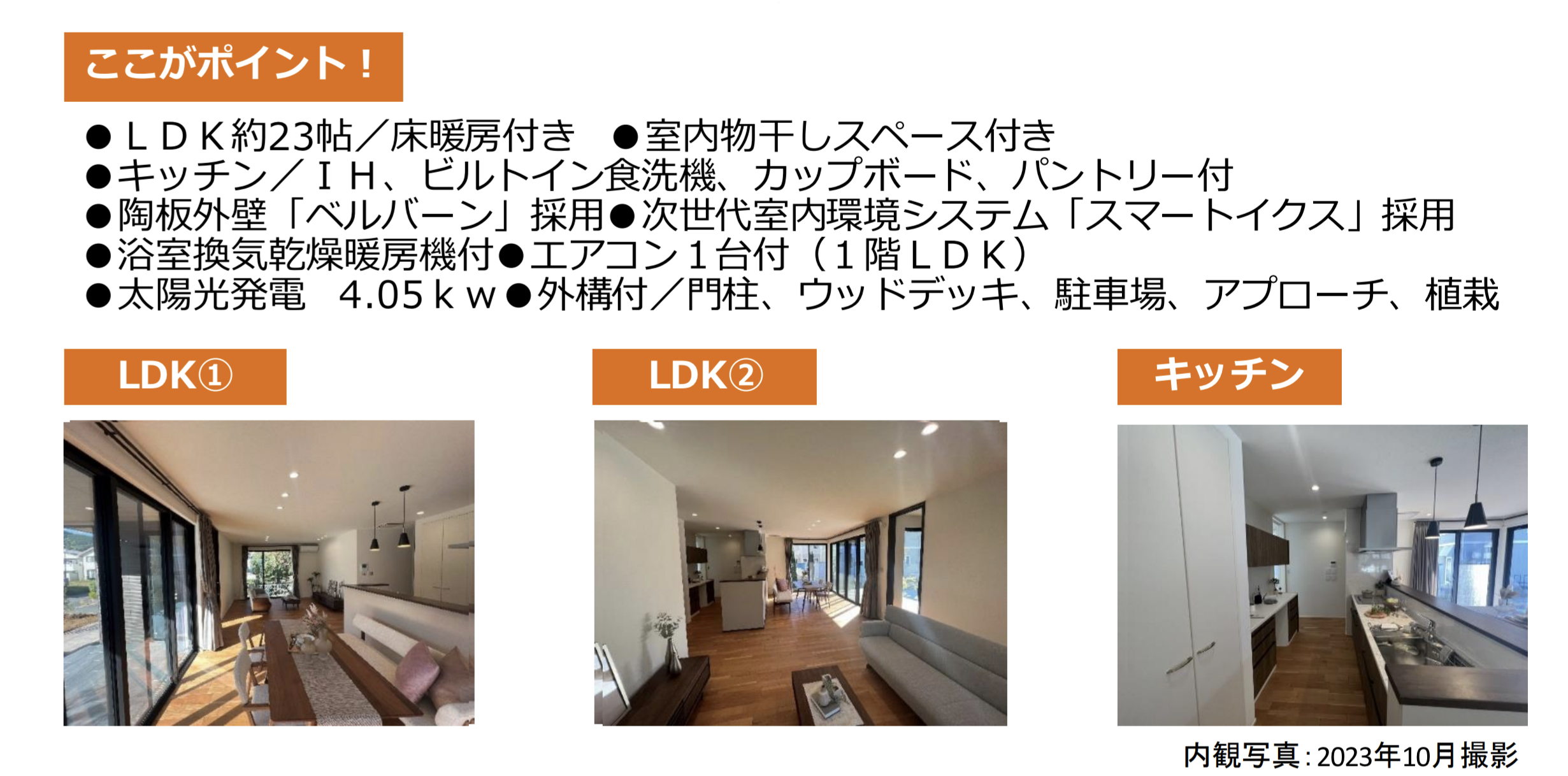 見どころ