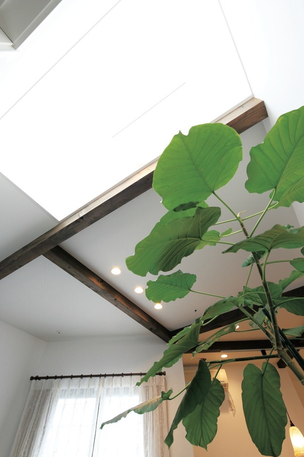 吹抜けから降り注ぐやわらかな光が、 無垢の床にひだまりをつくる