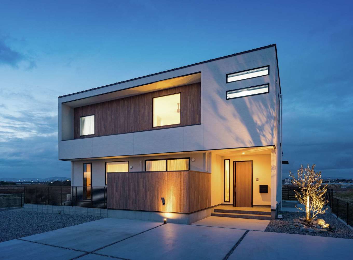 内田建設【デザイン住宅、間取り、建築家】夜になると、ライトアップされたシンボルツリーが外壁に映り込み、幻想的な雰囲気に