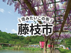 「藤枝市」の家づくりの補助金や土地の相場は？住んでいる人の声やサポート制度も紹介｜イエタテ家づくりガイド