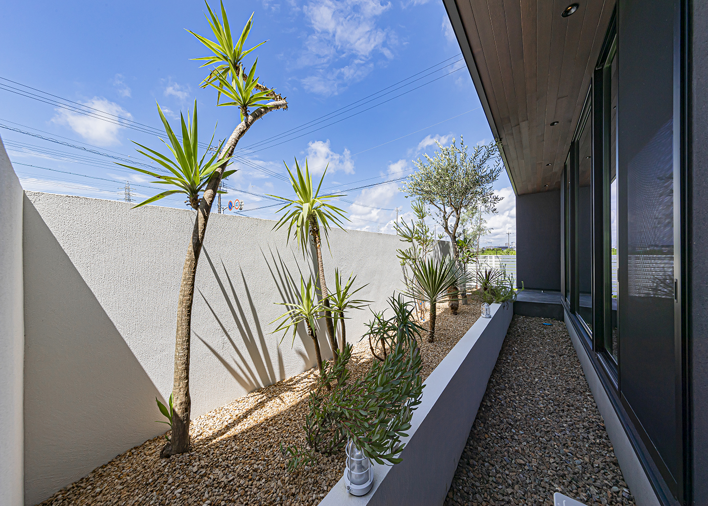 ARRCH アーチ【デザイン住宅、高級住宅、建築家】庭にはヤシの木を植えてリゾート感を演出