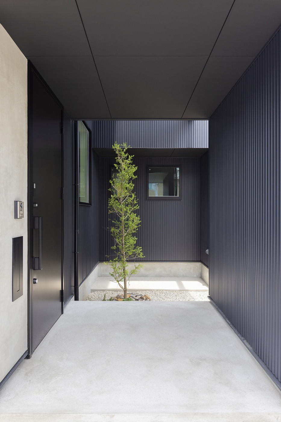 温戸ライフ【子育て、狭小住宅、インテリア】エントランスからも坪庭のシンボルツリーが見える