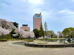 群馬の注文住宅の費用はいくら？相場と内訳を解説のイメージ