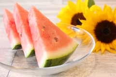 夏だ！お盆だ！家族会議をしよう！のイメージ