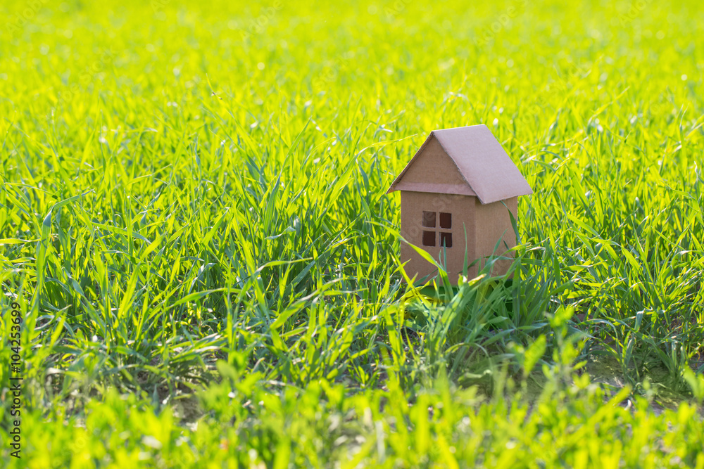 【土地について】