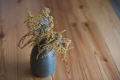 お客さまの写真