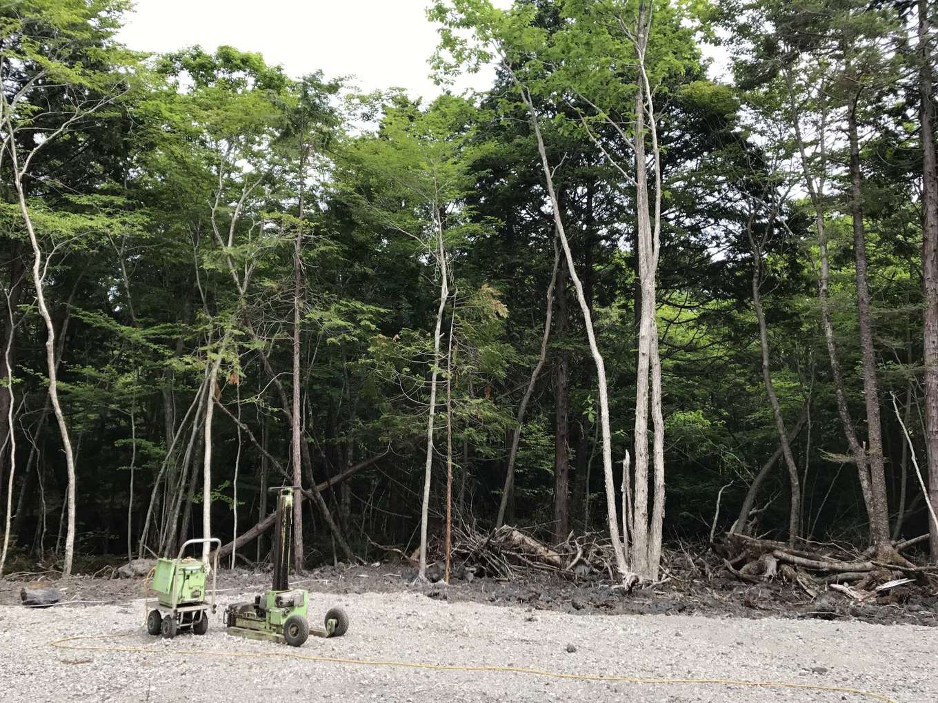 Hands Works（アオイ建築）【1000万円台、趣味、平屋】建設予定地は岩石がゴロゴロ、木や草が伸び放題で荒地そのものだった。土地と木々を整備することから始まり、完成までに1年かかったという。「こんなに素晴らしい環境になるなんて、びっくりです！」とご主人