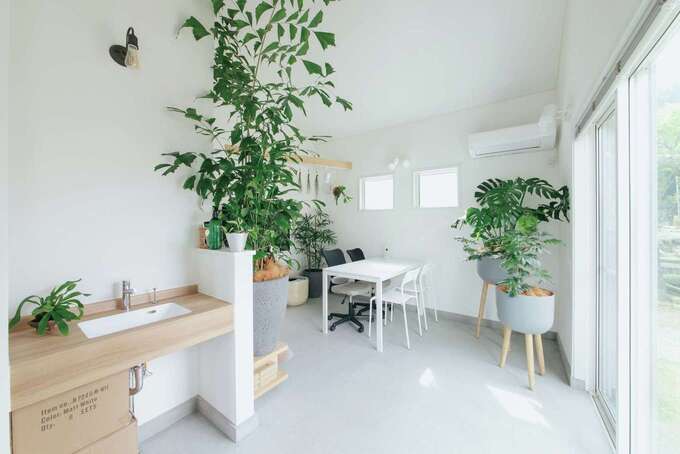 土間空間は、さまざまな観葉植物の飾り方を提案するショールーム。勾配天井だから高さのある植物も美しく映える。将来はワークショップなどもできるよう、洗面コーナーを設けている