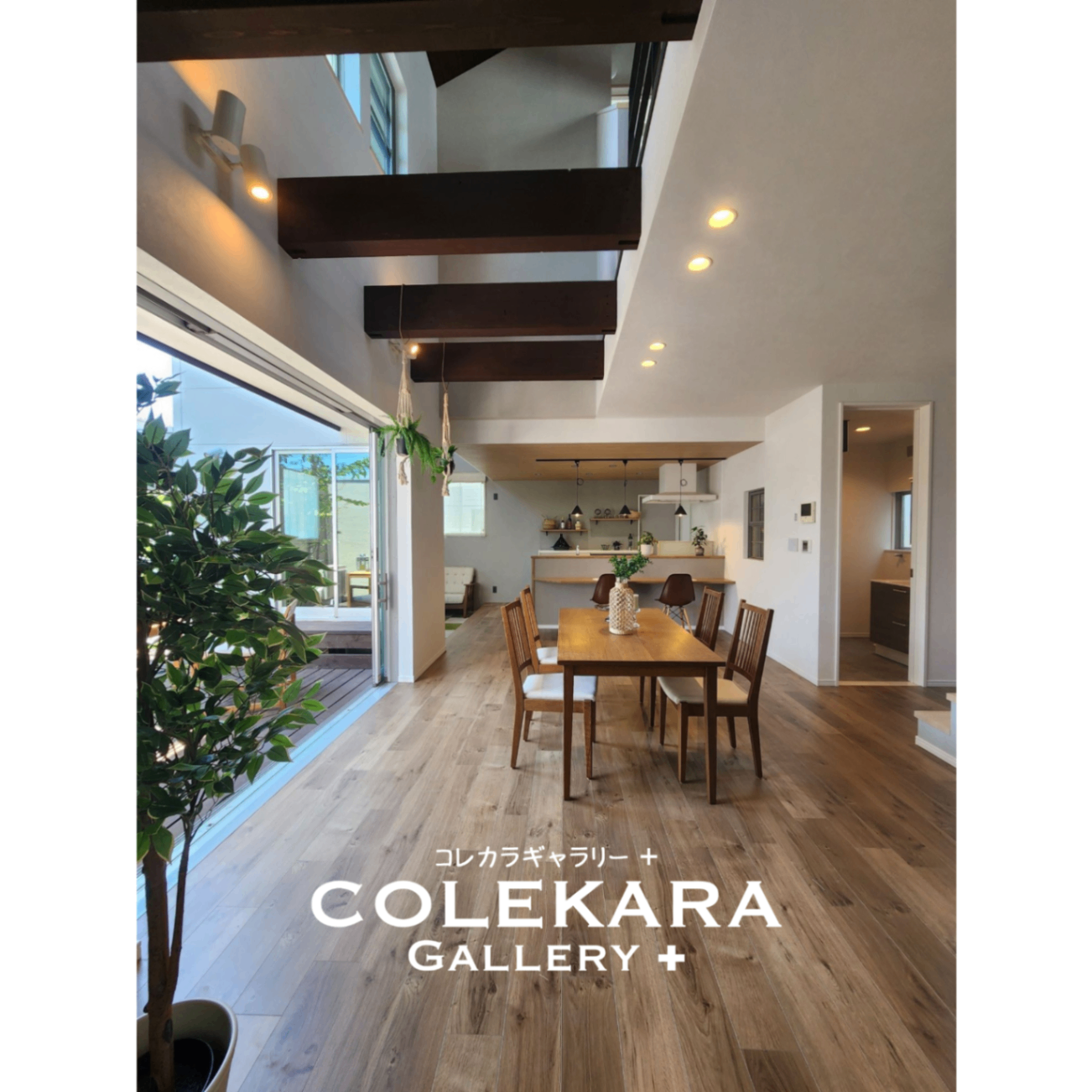 長崎展示場【COLEKARA GALLERY＋】リニューアルオープン ！  