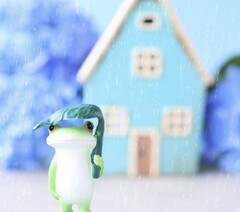 家がカビだらけ…のイメージ