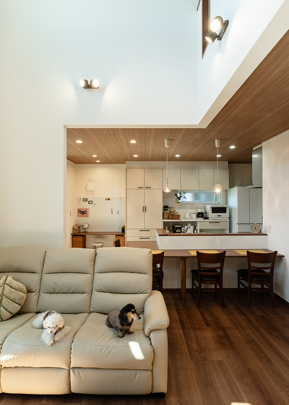 イシカワ【収納力、省エネ、ペット】視線が抜けて広く感じる吹き抜けのリビング