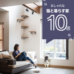 【2024年最新版】猫と暮らす快適で楽しい住まい作りのアイデア10選まとめ！