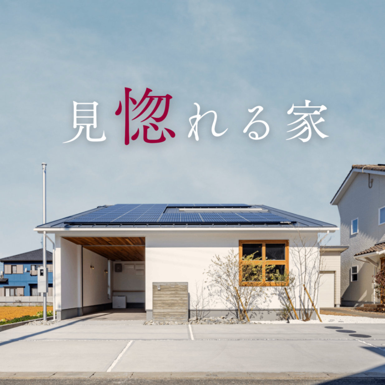 見惚れる『平屋』みたいな家｜　モデルハウス見学会【中央区大久保町】