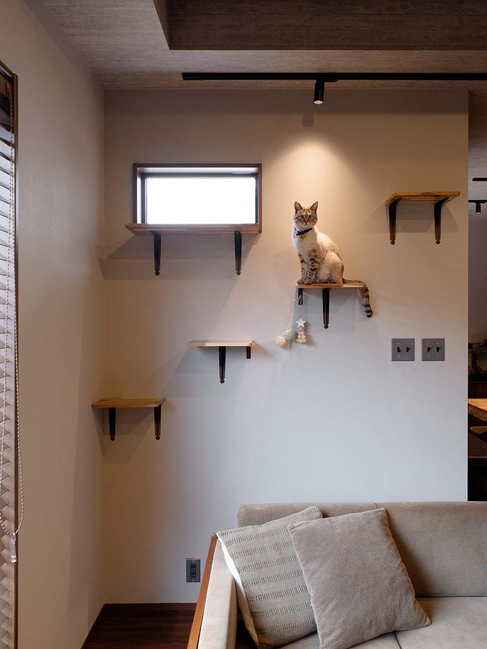 アサヒグローバルホーム｜DIYでキャットウォークをつける予定だったため、外を眺める習慣のある猫のために高い位置にFixの窓を設置。