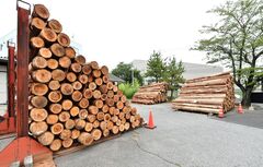 コストパフォーマンスに優れている