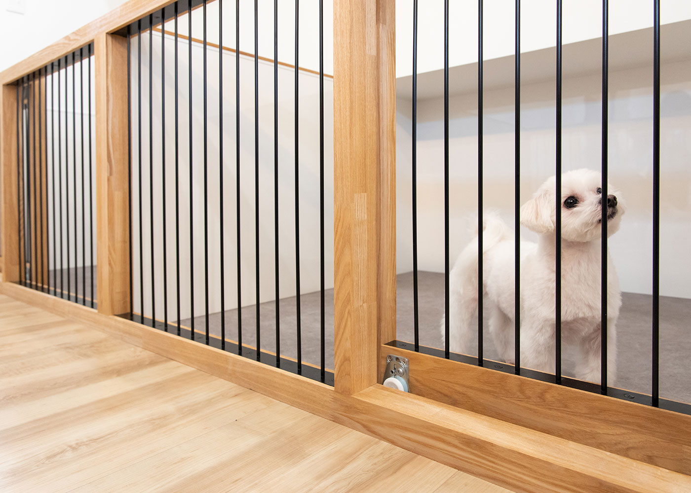KUREKEN HAUS（榑林建設）【デザイン住宅、収納力、ペット】リビングに隣接したドッグスペースは、愛犬がのびのび過ごせる充分な広さを確保。キッチンからもよく見える位置に設けたので、食事の支度をする奥さまも安心だ。1階の床には、愛犬にも優しい素材を使用している