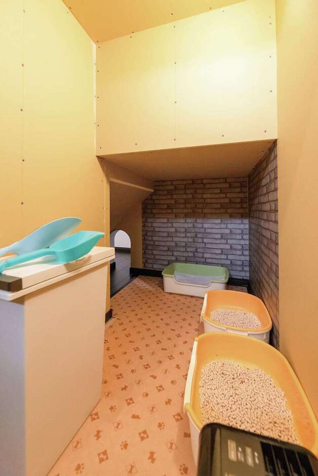 隠れて用を足したがる猫の行動心理を応用。猫はリビングの専用通路から出入りし、洗濯室側の扉を開ければ掃除ができる。普段は閉めておけばにおわない