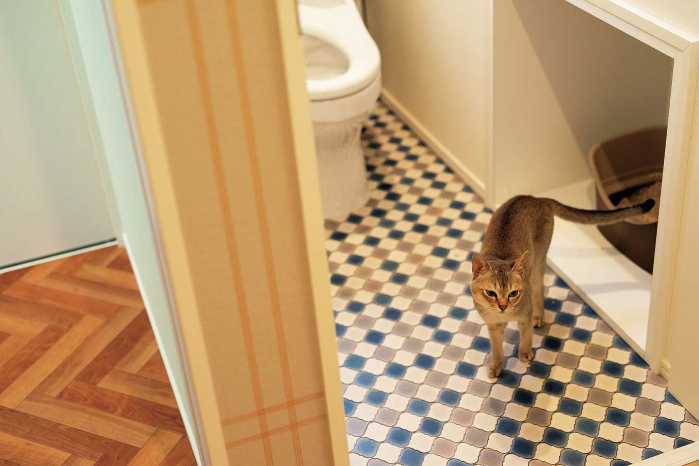 F.Bird HOUSE（袴田工務店）【輸入住宅、間取り、ガレージ】人が使うトイレの中に猫用のトイレを造作