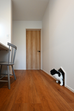 猫専用トイレルームに続く出入り口