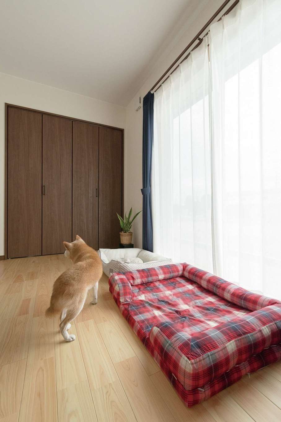 片山建設【夫婦で暮らす、間取り、平屋】LDKと和室に加え、2つの洋室も用意されている。床にはヒノキが敷き詰められ、跳ね返る光もやわらかい