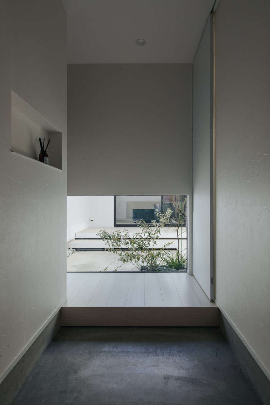 ハウスコネクト【デザイン住宅、ペット、平屋】シンプルを極めた玄関ホール。FIX窓の高さを低めに抑え、グリーンのある中庭へと、さらにその先のリビングへと、視線が抜けていくつくりに