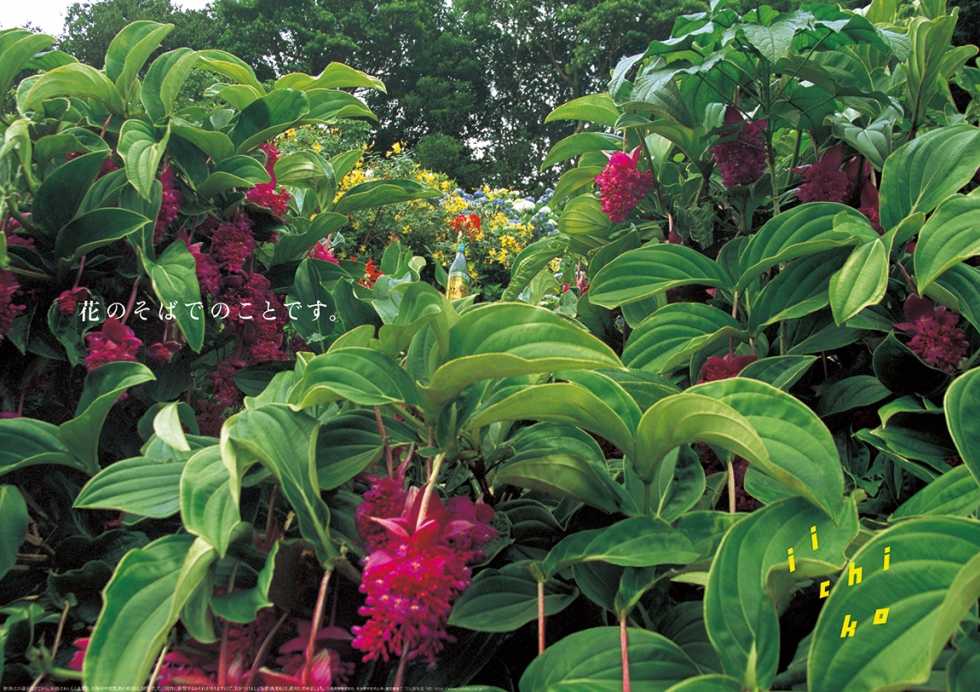 花のそばでのことです。