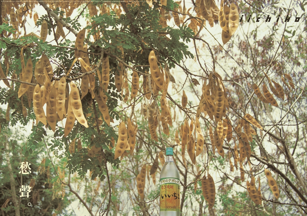秋聲。