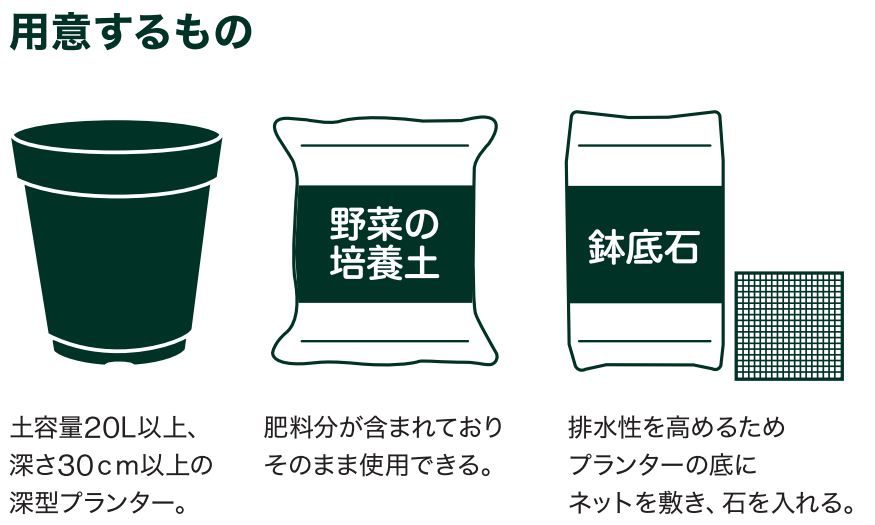 野菜を育てよう～ナスの育て方～ ｜ 島忠公式 島忠公式