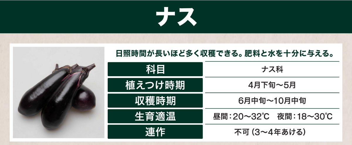 野菜を育てよう～ナスの育て方～ ｜ 島忠公式 島忠公式