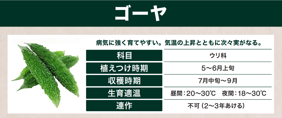 野菜を育てよう～ゴーヤの育て方～ ｜ 島忠 確認用店舗
