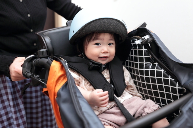 子ども乗せ電動自転車とは,電動,子ども乗せ電動自転車,