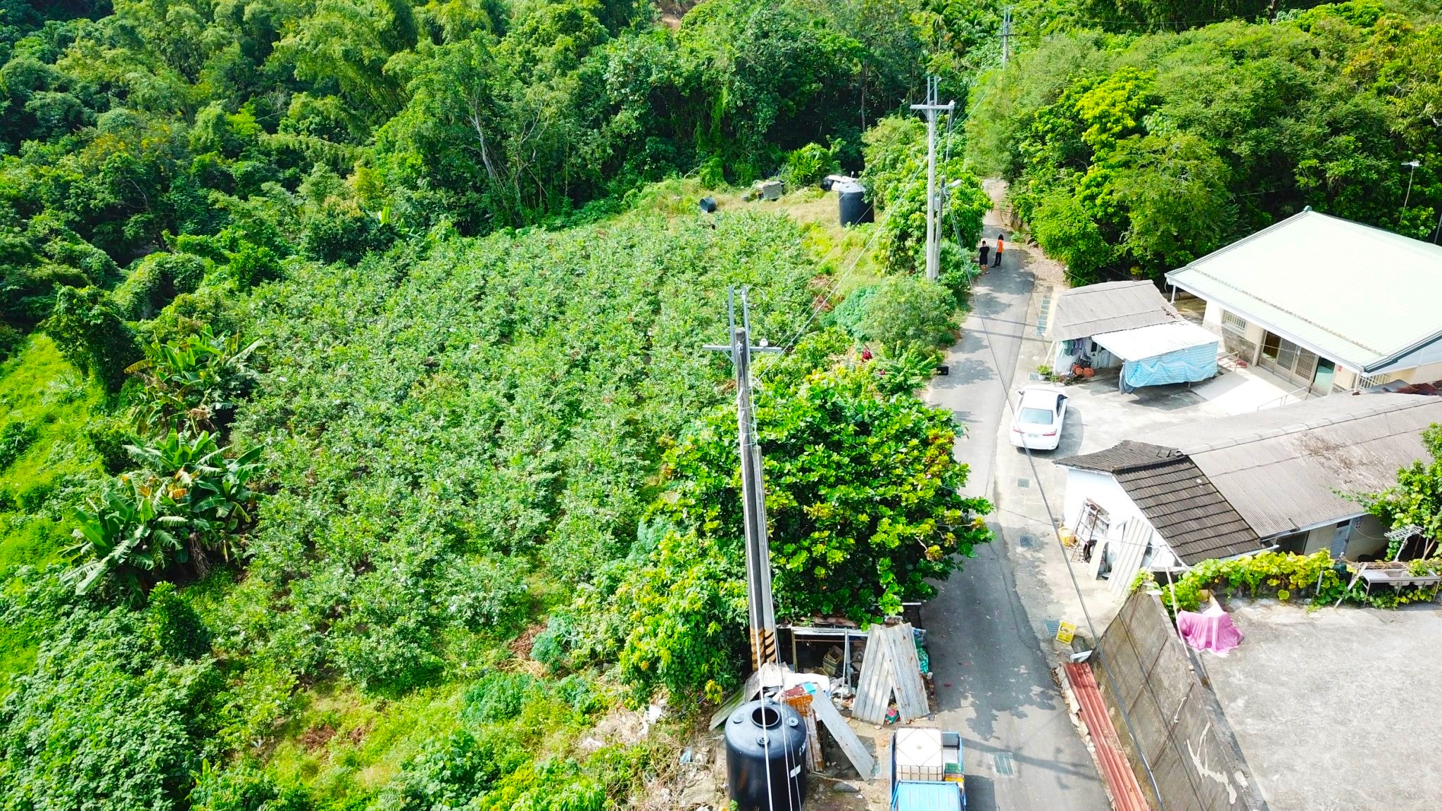 玉井千坪丙建有臨建築線