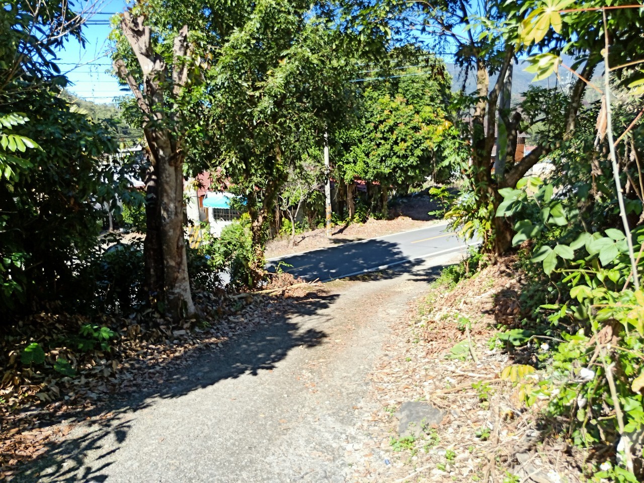 台中買屋賣房土地王劉志忠一手地埔里鯉魚潭段臨路面建地