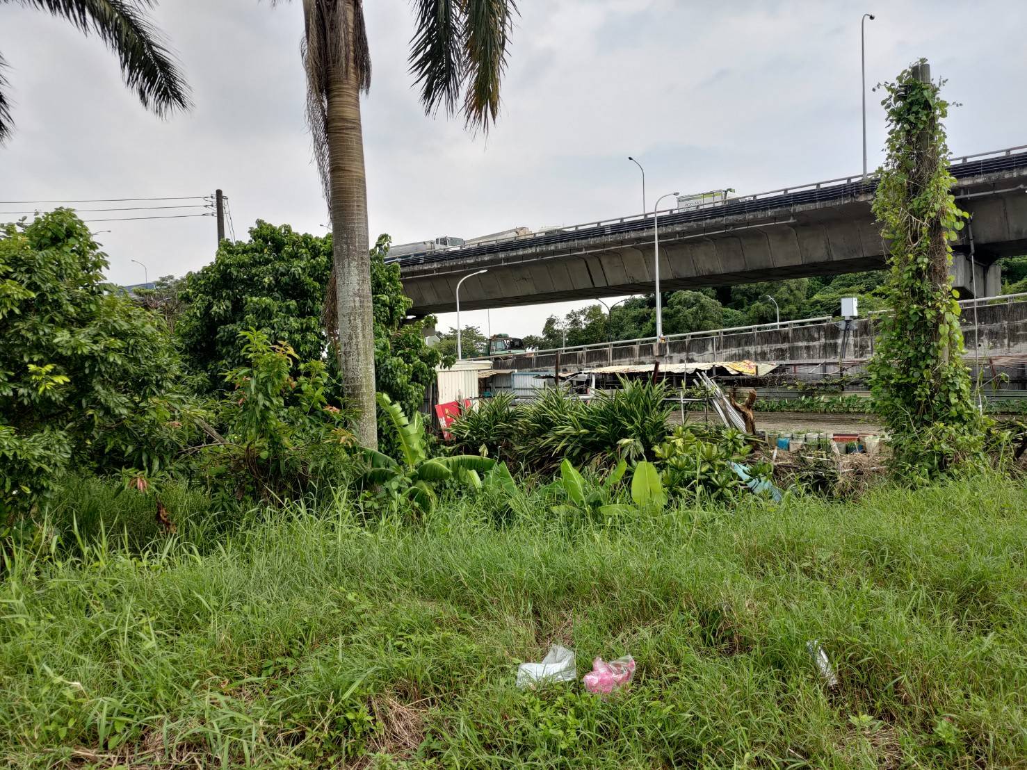 大寮88交流道。最便宜。 都內農地。。