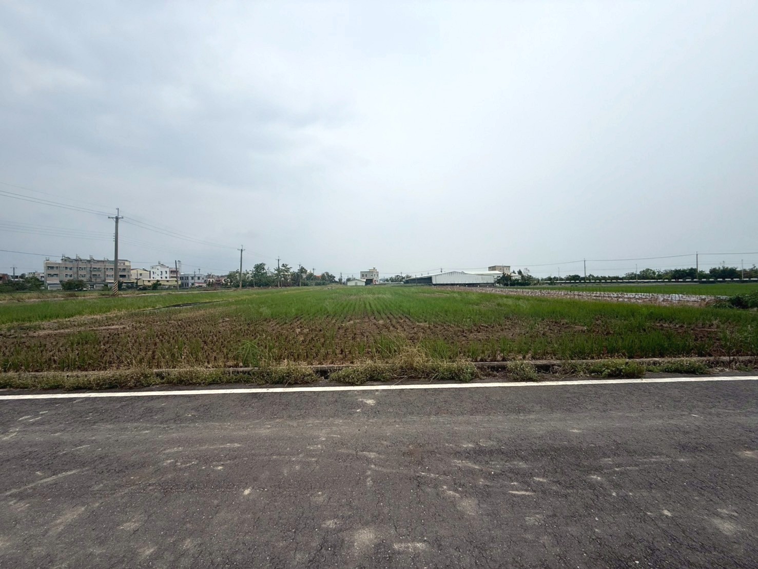 近新營休息區892坪農地